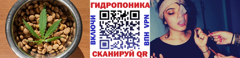 Canna-Cookies конопля гидра сайт Спасск-Рязанский