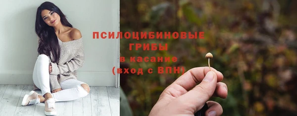 соль ск Аркадак