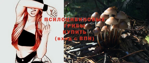 прущая мука Армянск