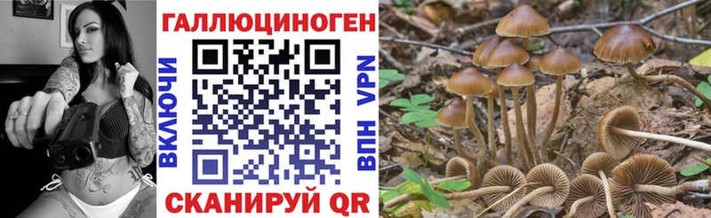 Галлюциногенные грибы прущие грибы  Спасск-Рязанский 